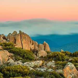 Explore Hobart at your own speed with hop-on hop-off bus tours – Panoramic views, audio guides, and unlimited stops in 2026